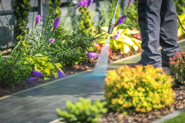 Little Falls, NY Pressure Washing Services Company