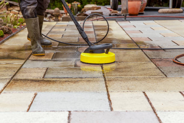 Best Solar Panel Cleaning  in Little Falls, NY